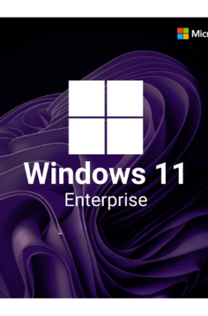 How to Buy Windows 11 Enterprise Product Key in India